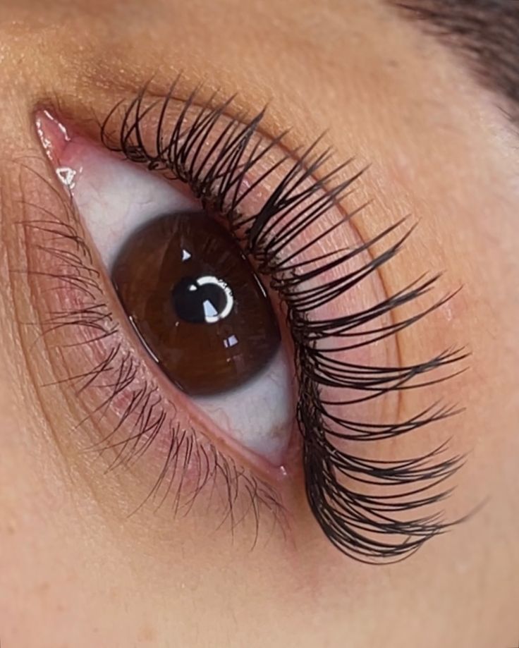 Classic Lash Extensions
